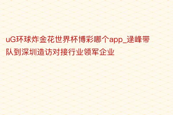 uG环球炸金花世界杯博彩哪个app_逯峰带队到深圳造访对接行业领军企业