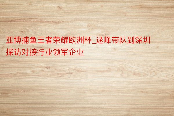 亚博捕鱼王者荣耀欧洲杯_逯峰带队到深圳探访对接行业领军企业