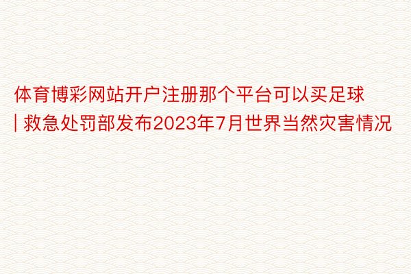 体育博彩网站开户注册那个平台可以买足球 | 救急处罚部发布2023年7月世界当然灾害情况