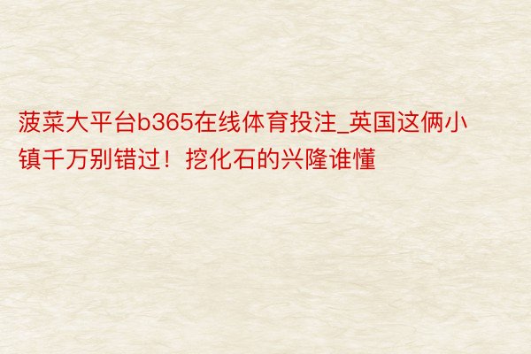 菠菜大平台b365在线体育投注_英国这俩小镇千万别错过！挖化石的兴隆谁懂