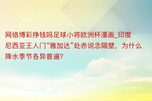 网络博彩挣钱吗足球小将欧洲杯漫画_印度尼西亚王人门“雅加达”处赤说念隔壁，为什么降水季节各异普遍？